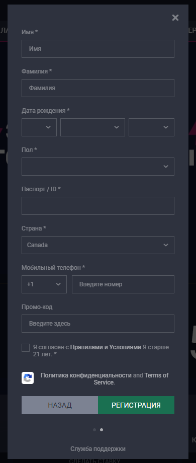 Расширенная форма регистрации на сайте БК Vbet
