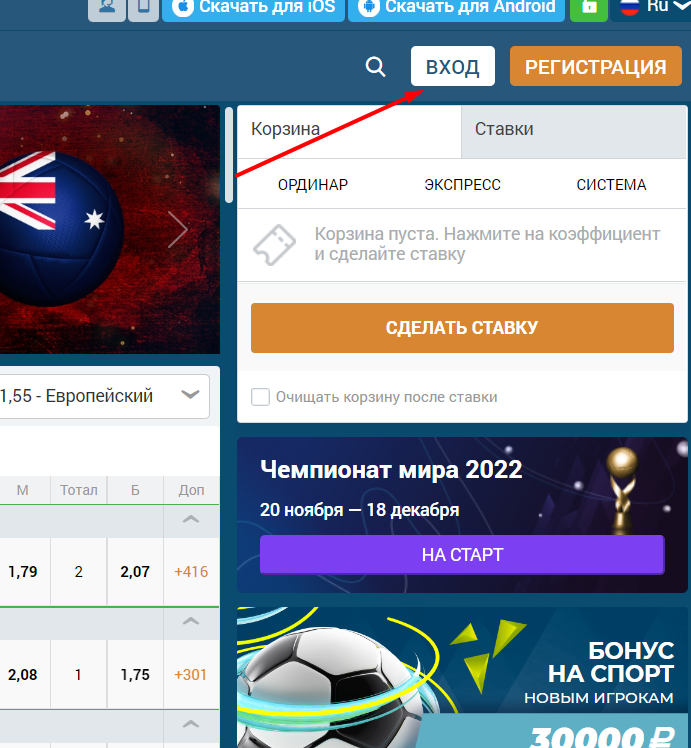 Кнопка авторизации на сайте БК Zenitbet