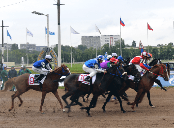 Очередной забег в программе Дня организаторов пари