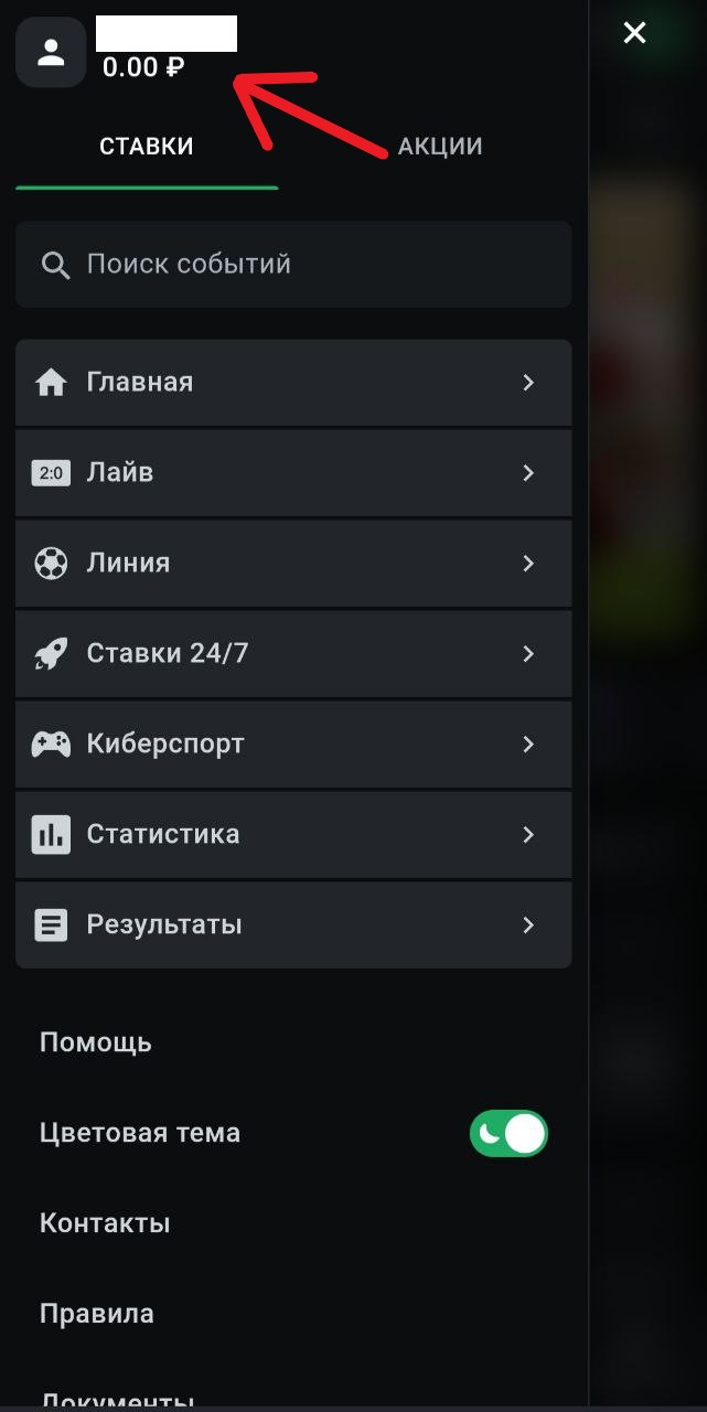 Откройте основное меню и нажмите на значок клиента