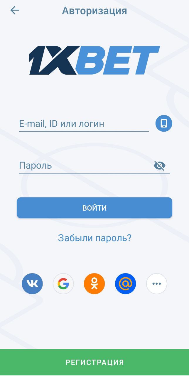 Укажите данные для входа и авторизуйтесь в приложении