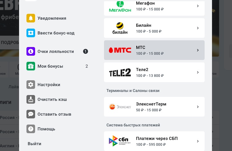 Выбор способа пополнения на сайте БК Леон