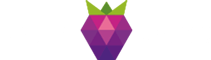 bookmaker logo