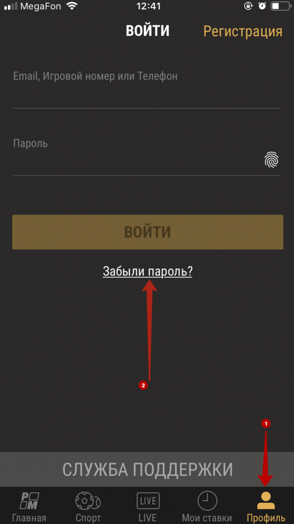 Перейдите в профиль в приложении на айфоне и кликните "Забыли пароль?"