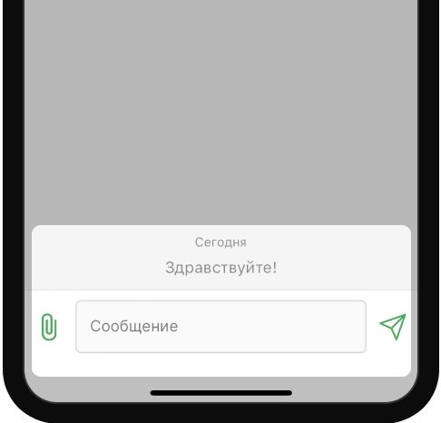 Окно лайв-чата в мобильном приложении БК Лига Ставок