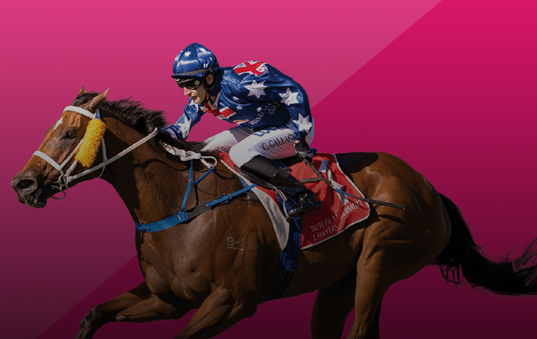 «Best Odds Guaranteed» от БК Betfred