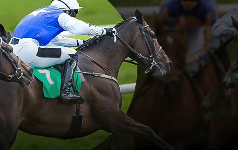 Акция «Best Odds Guaranteed» на скачки от БК Bwin