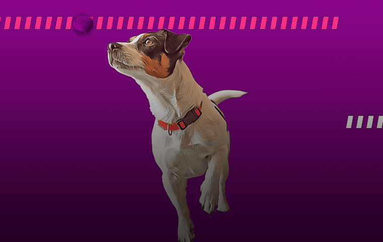 Акция «Fetch friday» от БК Yobetit