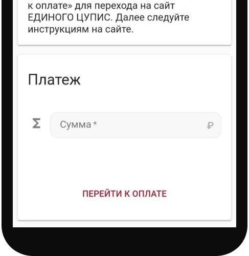 Указать сумму при пополнении через банковскую карту в мобильном приложении БК Тенниси