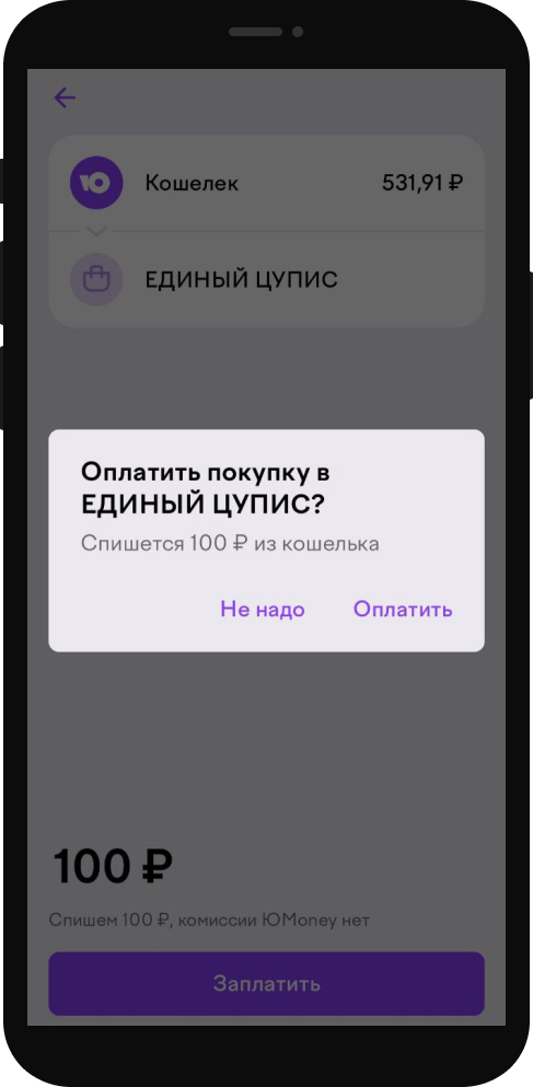 Подтверждение операции при пополнении через ЮMoney в мобильном приложении БК Тенниси