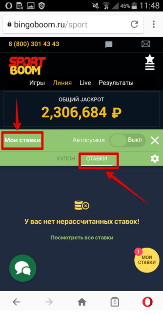 Мои ставки в Bingo Boom