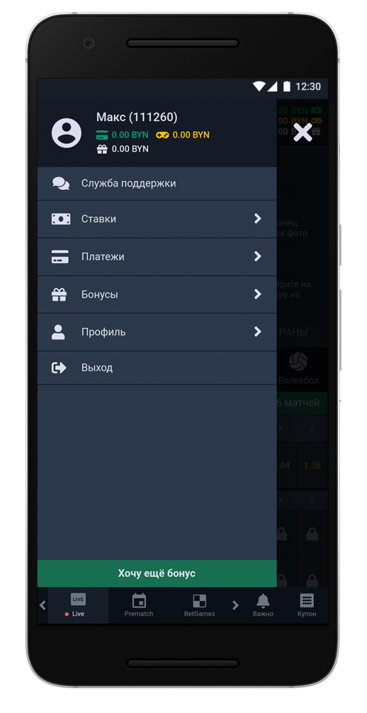 image-bison-10