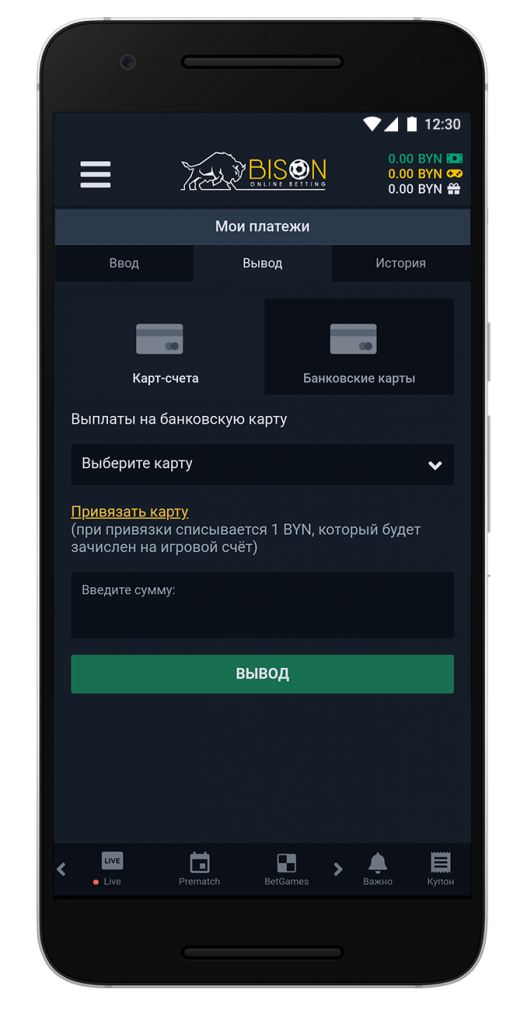 image-bison-13