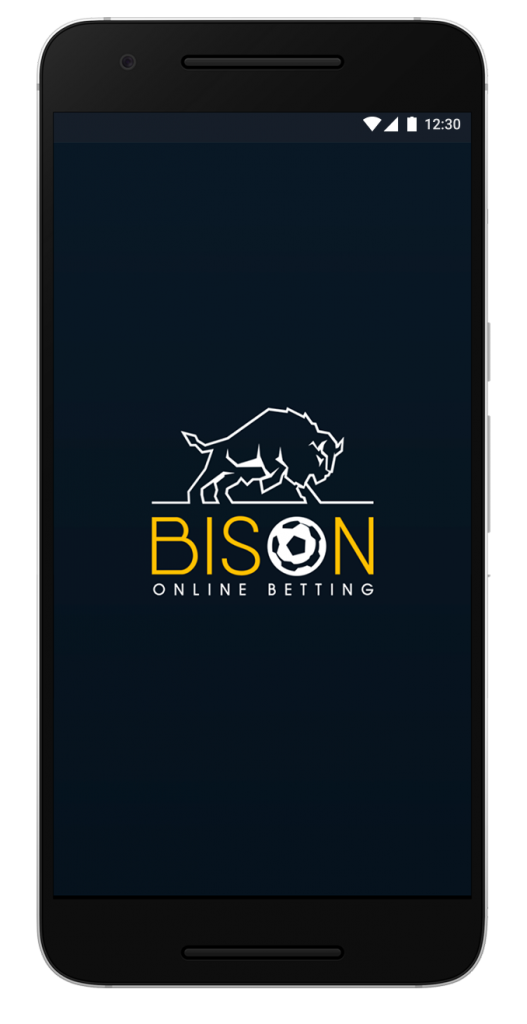 image-bison-2
