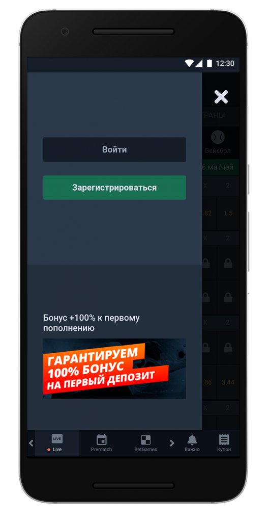 image-bison-3
