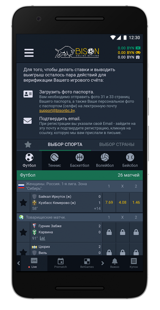 image-bison-9