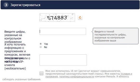 Регистрация в букмекерской конторе Рinnacle: капча