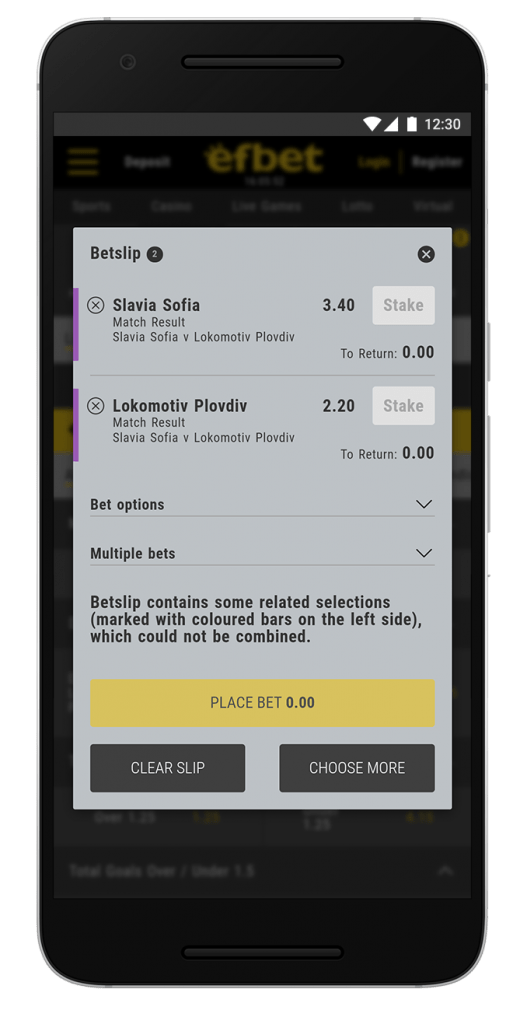 screen-efbet-11