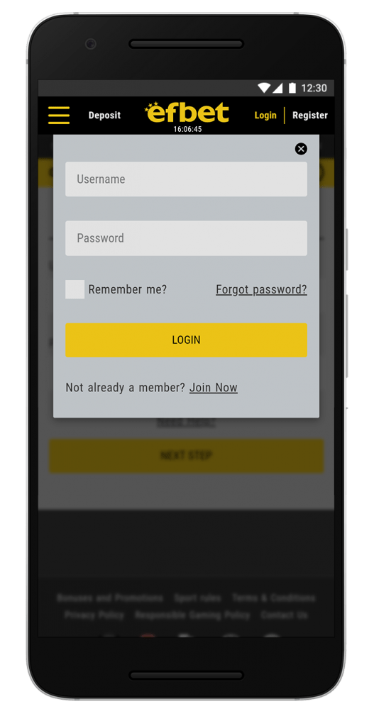 screen-efbet-14