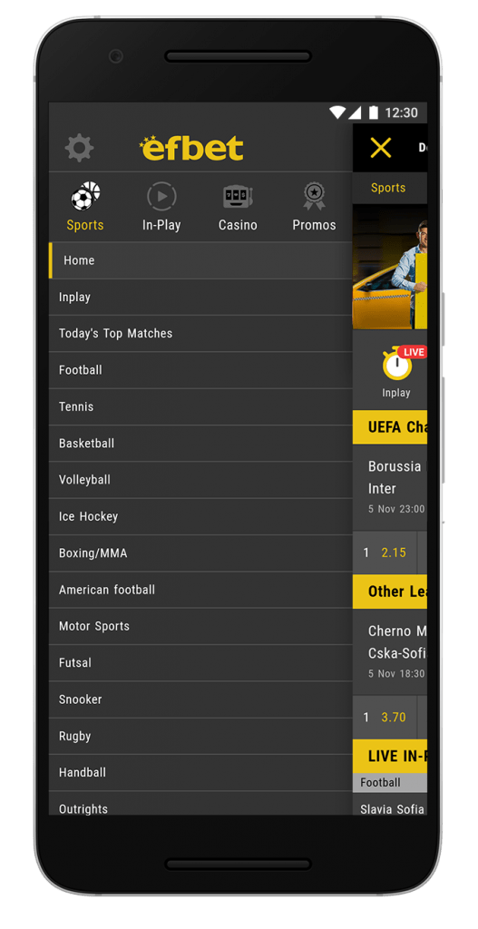 screen-efbet-2