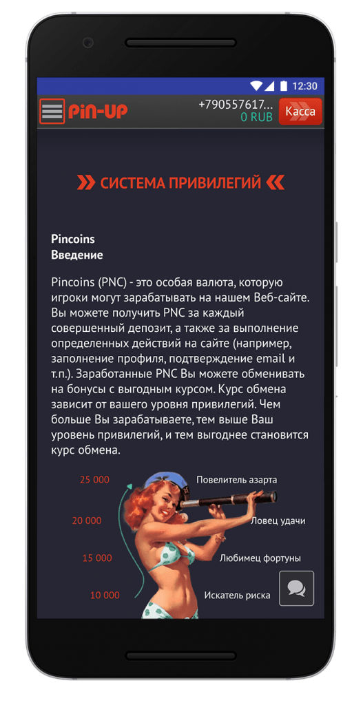 screen-pin-up-bet-20