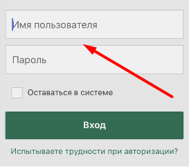 Форма авторизации в мобильном приложении Bet365 для iOS