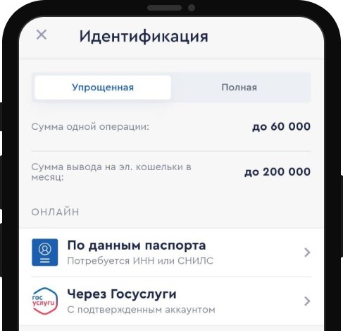 Раздел идентификации в мобильном приложении Фонбет