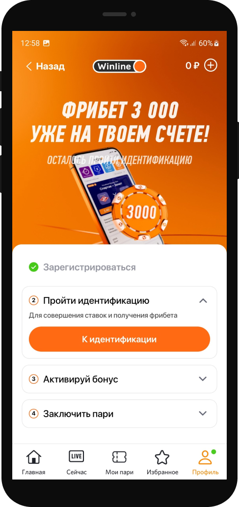 Идентификация Винлайн 1
