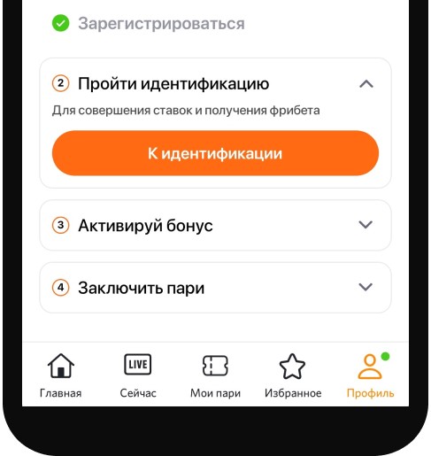 Идентификация приложение Винлайн
