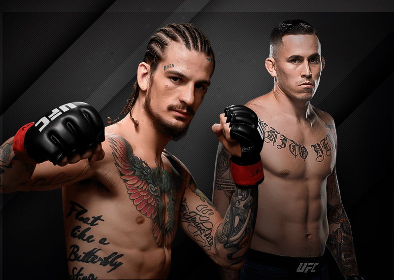 Букмекеры: Шон О`Мэлли разгромит Марлона Веру на UFC 252