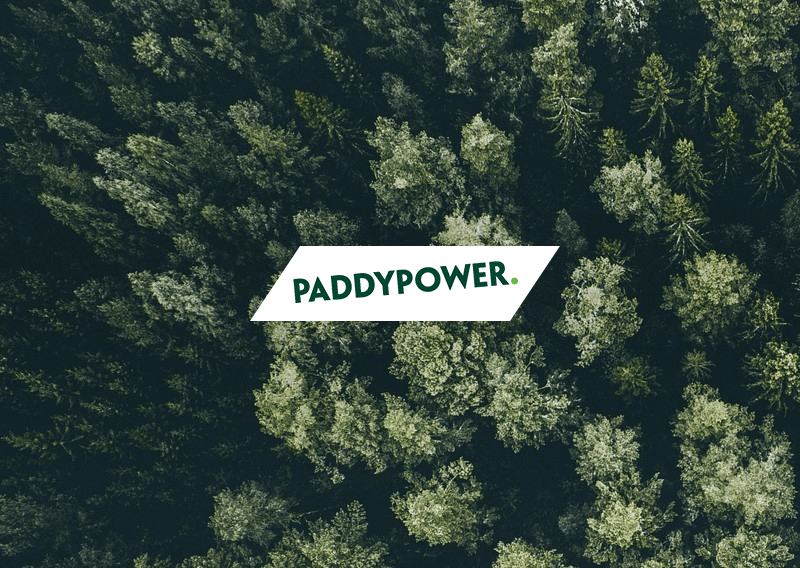 БК Paddy Power посадит 6 тыс. деревьев после ничьи в матче «Арсенал» — «Лестер»