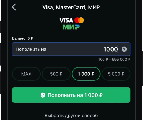 Ввод суммы при пополнении счета при помощи банковской карты в БК Леон