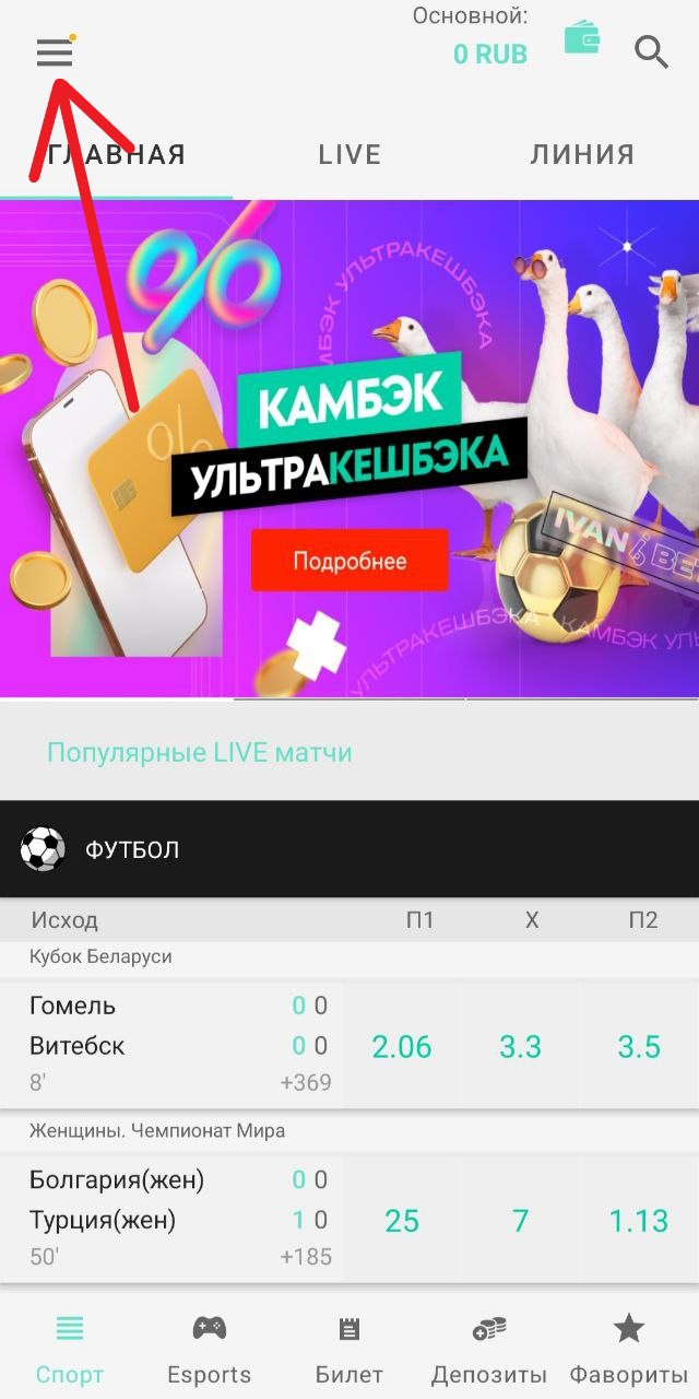 Мои ставки Иванбет 1