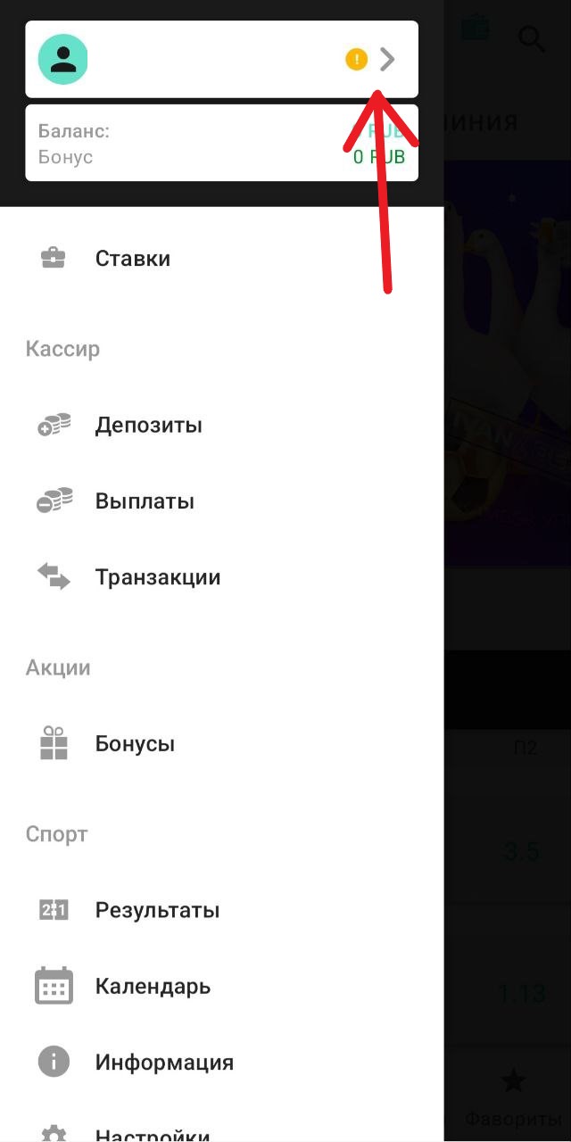 Профиль Иванбет 1