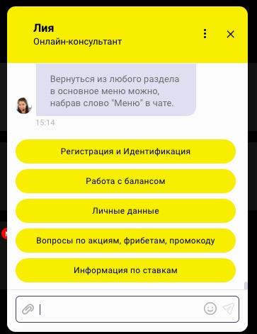 Диалог с оператором на сайте БК BetBoom