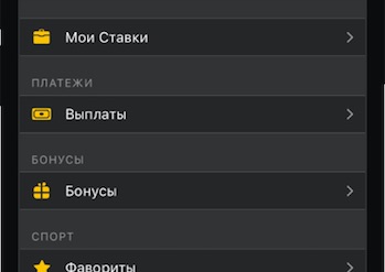 Меню профиля в мобильном приложении Мелбет