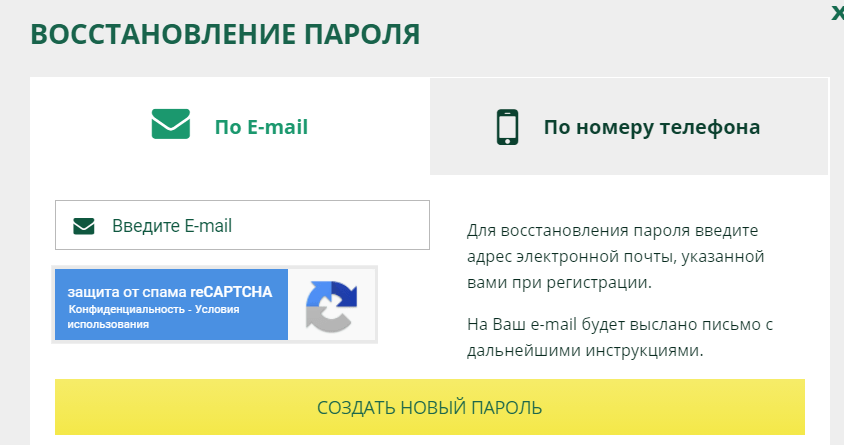 Выберите вариант восстановления - по телефону или E-mail