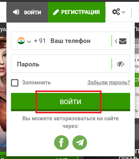 Кнопка войти в форме авторизации на сайте БК Фан Спорт 