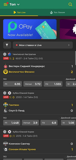 Откройте мобильное приложение БК Бетвиннер