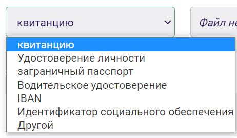 Выбор вида документа для загрузки и прохождения верификации на сайте БК Vbet