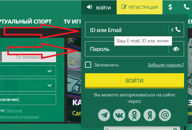 Введите ваши данные в форму авторизации