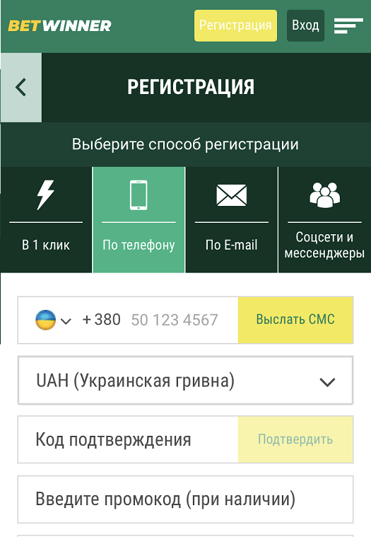 Введите запрашиваемые данные и подтвердите создание игрового профиля