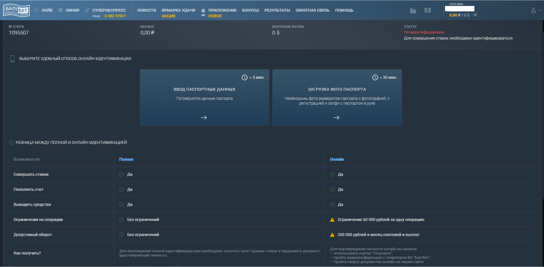 Нажмите на “Ввод паспортных данных” в способах идентификации