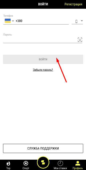 Форма авторизации в мобильном приложении Parimatch для iOS