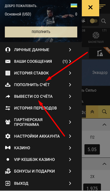 Опции «Пополнить счет» и «Вывести со счета» в меню личного кабинета мобильной версии сайта БК Betandyou