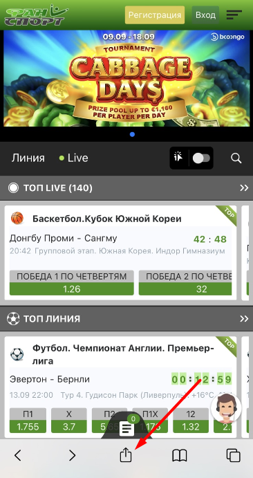 Кнопка "Поделиться" в браузере Safari для iOS