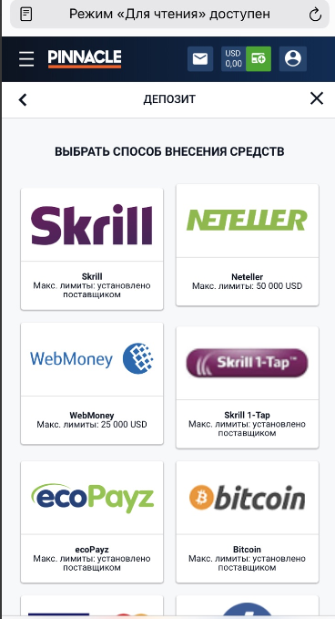 Выбор метода платежа в мобильной версии сайта БК Pinnacle