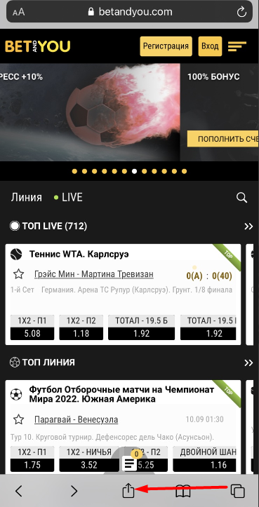 Кнопка "Поделиться" в браузере Safari для iOS