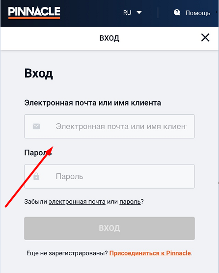 Форма авторизации в мобильной версии сайта БК Pinnacle