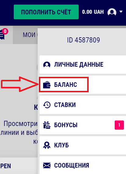 Вкладка "Баланс" на сайте БК Favbet